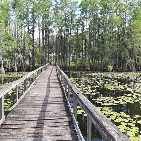 Suwannee river rendezvous - Mar 7, 2017 · We have plenty of space for RV and tent camping as well as a range of cabins and lodges for guests. For more information or to book your stay, call us at 386-294-2510! Suwannee River Rendezvous discusses the benefits of seeing the natural springs of the Suwannee River up close and personal. 